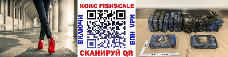 Купить закладки  Гуково  Кокаин Fish Scale 