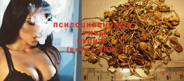 спайс Кинешма