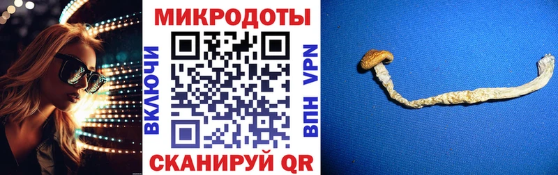 Купить  Гуково  Галлюциногенные грибы Cubensis 